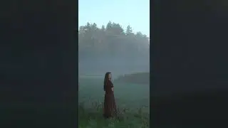 Breathing in the morning mist | Calm nature short #nature #shorts #relaxing #mistymorning #calmness
