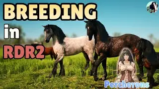 РАЗВЕДЕНИЕ в RDR2: Эпизод 3 – Большие першероны! | GGI Equestrian | RedM
