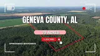 79-Acre Recreational Hunting Property &ndash; Geneva County, AL