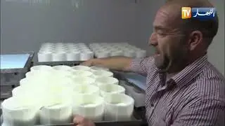 غليزان / صناعة الأجبان الطبيعية  ..  إستثمار واعد يتجه إليه شباب منطقة الظهرة