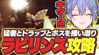 【タルコフ】高難易度マップラビリンスを攻略する迷宮の王レイード【白雪レイド/切り抜き】