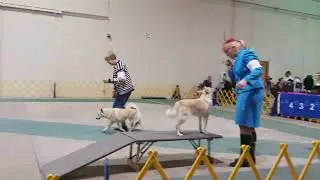 NBCA Nationals. *  Sat, Oct 14, 2017  *  Boise, ID