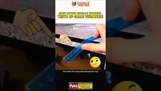 Slow Motion Reveals Shocking Truth of Scale Vibration! #vibration #scale #science