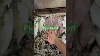 Fish shop Kalyan #shortvideo #youtubeshorts #fishing
