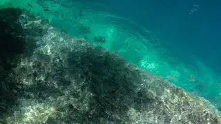 Diving a tropical reef on a remote island 