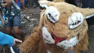 Bocah dimakan barongan macan macanan new pandawa