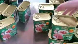 Square cans sticker labeling machine flat bottle labeller rotary type