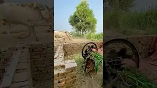 Traditional Bull fast operating cutter machine #shortsfeed #trending