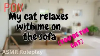 [ASMR] You're my cat spending time with me - ASMR Roleplay