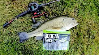 BANDITO BUG MADNESS!!! Googan Baits Largemouth Fishing