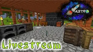 Fliegen wir zum Mond? 😱🚀🧭 || Livestream vom 16.01.2018