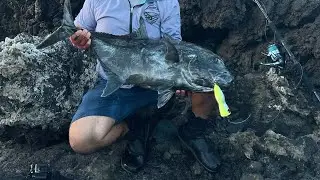 Plugging Maui Ulua strike #30