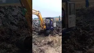 #shordvideo