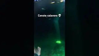 Swimming in a Cenote, Tul&uacute;m Mexico 🇲🇽💀💦 #cenotes #mexico #tulum #underworld