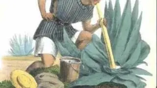 Latin Colonial America Material Culture: Alcohol