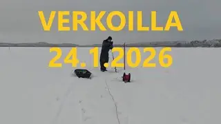 Verkoilla 24.1.2026