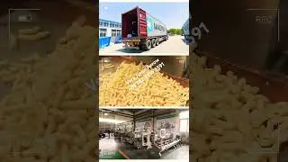 Corn Sticks Puffy Snacks made by Arrow 70model Twin screw extruder 100% corn flour #cornsnacks