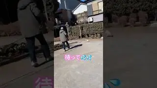 らんチャンネル　楽しいかけっこ
