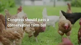 Heritage Explains 048: 3 Reforms Conservatives Should Fight For in the Farm Bill