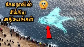 கேமராவில் பதிவான சிறப்பான சம்பவங்கள் | Moments Captured In Camera | Just View
