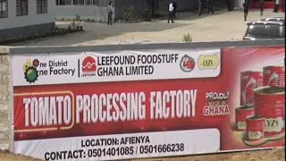 Ghana's Tin Tomatoes Factory Under 1D1F