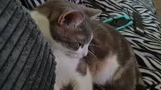 Mon bébé qui a bien grandit ❤️😍