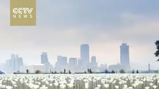 Thousands of white LED roses light up Hong Kong landmark