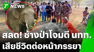 สลด! ช้างป่าทำร้ายนทท.เสียชีวิต | 2 ก.พ. 69 | ข่าวเย็นไทยรัฐ
