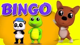 bingo la cane canzone | cucciolo canzone per bambini | fattoria cane | Bingo Rhymes | Bingo The Dog