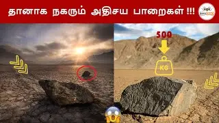 தானாக  நகரும்  அதிசய  பாறைகள் !!!  || Walking rocks || Kodai radio tamil