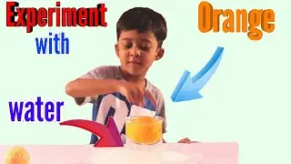 Orange can float or sink  Science Tricks Science Experiments MUST Watch