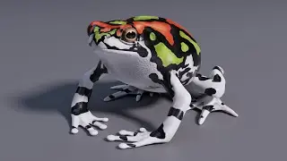 Game Ready Malagasy Rainbow Frog 3D Model