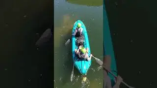 Canoeing and camping on in a remote river gorge #canoeing #packraft #river #nature