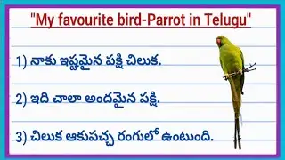 My favourite bird Parrot essay in telugu ।10 lines on parrot in telugu। Telugu essay on parrot