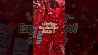 2022年生肖运势 2022 Chinese New Year Predictions for 12 Zodiac Animals #shorts