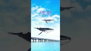Samsung Galaxy Theme - flying whale (Premium Video AOD)