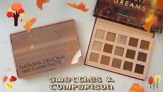 NEW Alter Ego Sunlit Dreams Palette // FALL VIBES