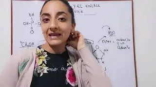 El ADN y  el enlace fosfodiester