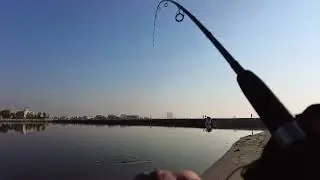 Best spot for fishing queen fish&baracuda