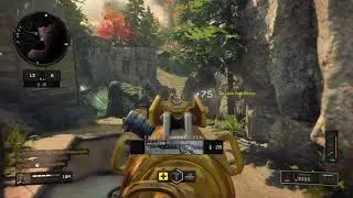 CALL OF DUTY: BLACK OPS 4 - GOLD DAEMON 3XB & DIAMOND DAEMON 3XB - KILL CONFIRMED - MILITIA - 40-4