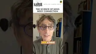 The Science of Mind-Body Connection