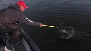 Fishing the Midwest - 2018 Season TV episode #6 - Fall Walleyes and Big Stone Perch!