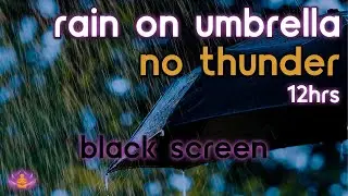 [Black Screen] Rain on Umbrella No Thunder | Rain Ambience | Rain Sounds for Sleeping