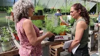 2024 Sustainable Saratoga Pollinator Palooza Native Plant Sale