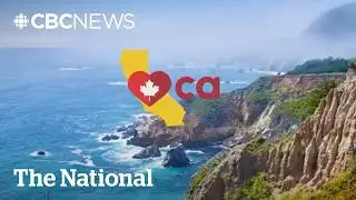 Americans try to lure Canadian tourists back with discounts, ad campaigns