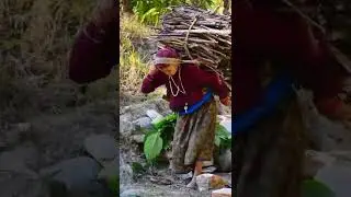 women hard worker.|work|motivation|#shorts #hardwork