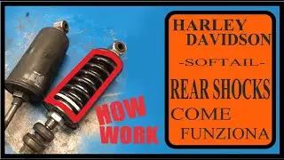 AMMORTIZZATORI POSTERIORI SOFTAIL - HARLEY DAVIDSON -