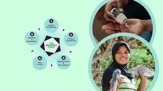 Strengthening gender equality and social inclusion across the AMR research continuum