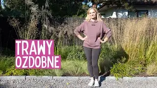Trawy ozdobne w jesiennym ogrodzie &ndash; odkryj ich piękno i ruch na nowej rabacie frontowej