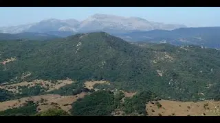Promotional video for Los Alcornocales natural park showing sceneries and local wildlife